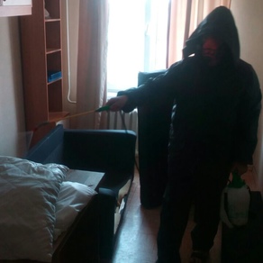 Уничтожение тараканов в квартире с гарантией в Тюмени