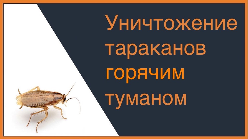 Уничтожение тараканов горячим туманом в Тюмени