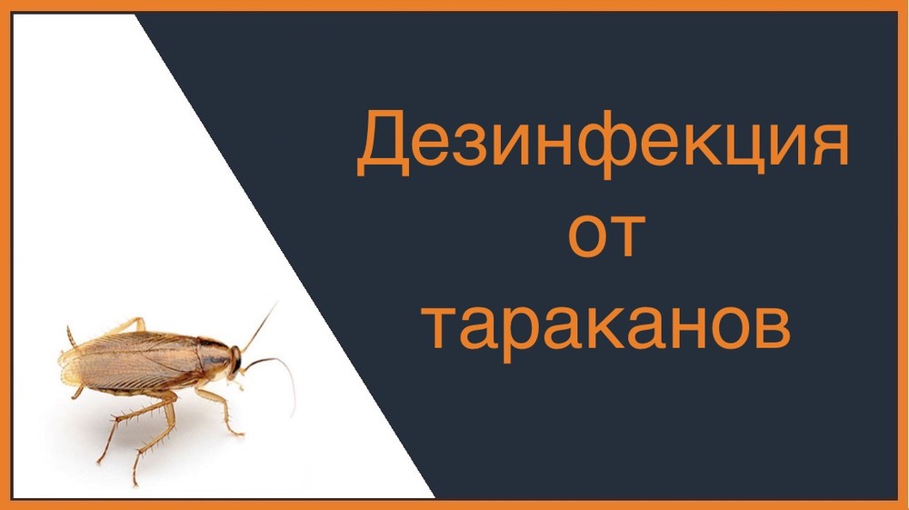 Дезинфекция от тараканов в Тюмени